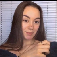 Vlada